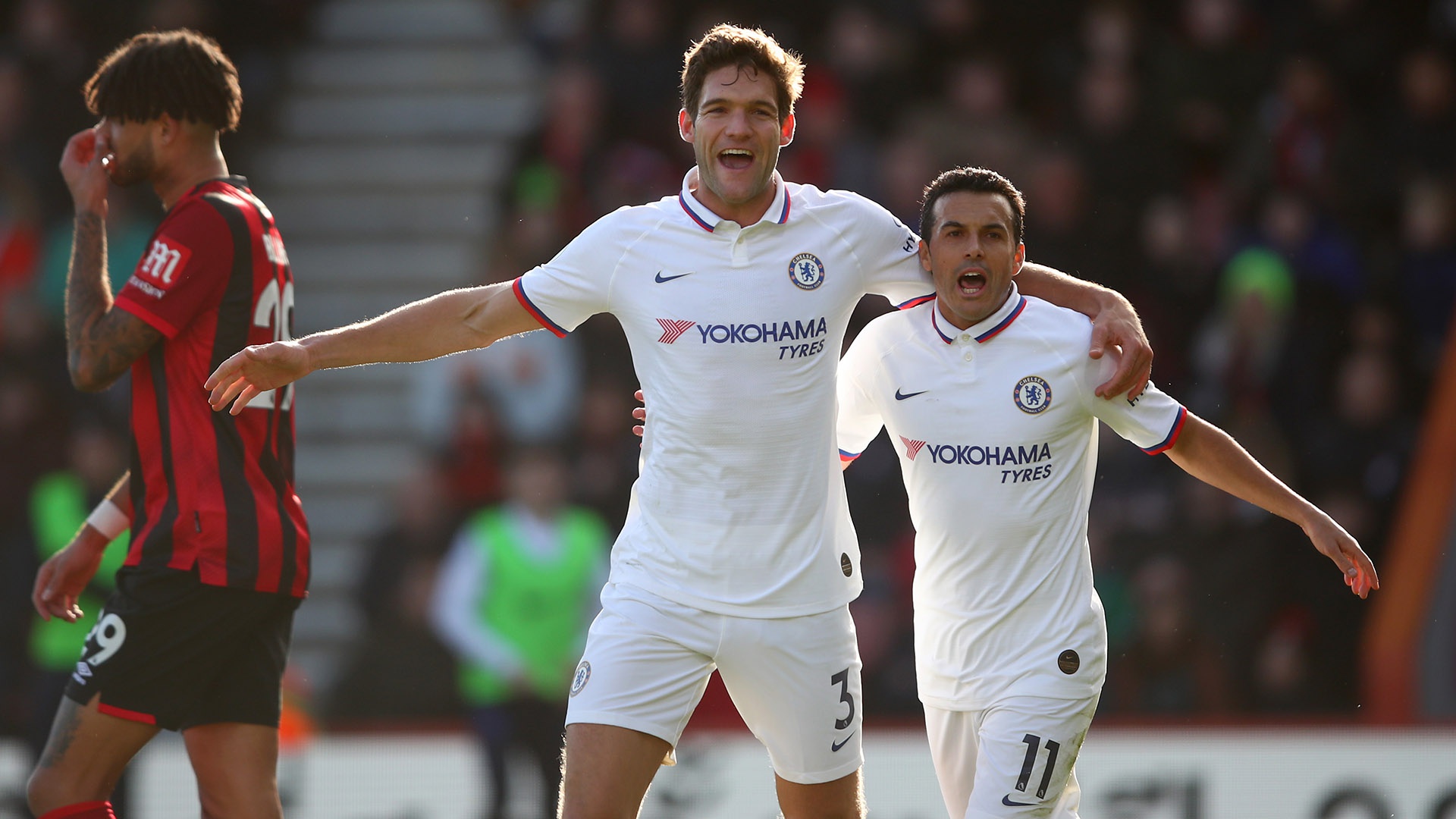 近年来受到 近年来受到